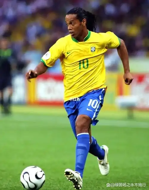 在近年来的 在近年来的